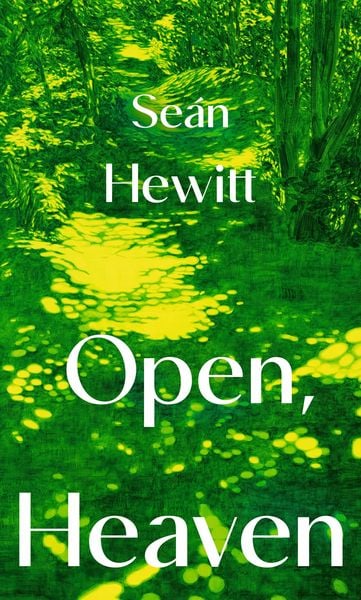 Cover of Open, Heaven